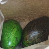 Lagra avokado