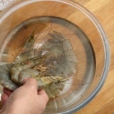Förbered frysta räkor