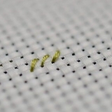 Broderi