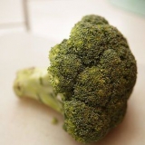 Frysning av broccoli