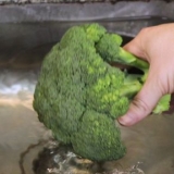 Rengöring av broccoli