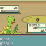 Få crobat i pokemon emerald