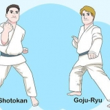 Förstå grunderna i karate