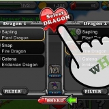 Odla regnbågsdraken i dragonvale
