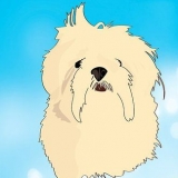 Identifiera dina adopterade blandraser