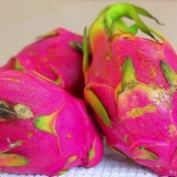 Äter drakfrukt (pitaya)