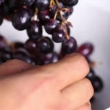 Att göra druvjuice