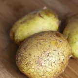 Baka en potatis i mikron