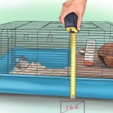 Sätta upp en hamsterbur