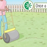 Planera en gropig gräsmatta