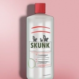 Att ta hand om en hund som blivit sprayad av en skunk
