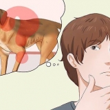Att göra en hund fetare