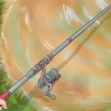 Att fånga en karp