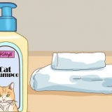 Bada en katt med minimal skada