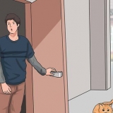 Ringer en katt