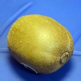 Mogna en kiwi