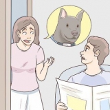Att hitta en förlorad hund