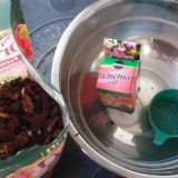 Blåser nytt liv i en orkidé som inte blommar