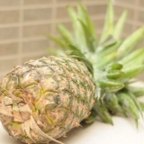 Mogna en omogen ananas
