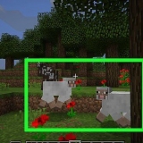 Hur man gör ett regnbågsfår i minecraft