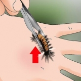 Behandla ett larvstick