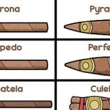 Röker en cigarr