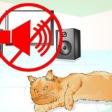 Tröstar en döende katt