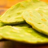 Äter en kaktus med prickly pear