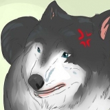 Närmar sig en herrelös hund