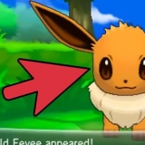 Eevee eevee till espeon eller umbreon