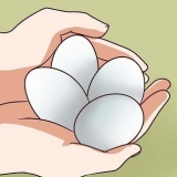 Pastörisera ägg