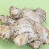 Fryser ingefära