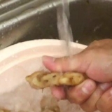 Pressa ingefärsjuice