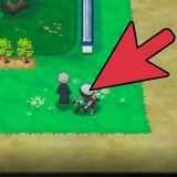 Träna din pokémons ev