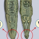 Se skillnaden mellan en krokodil och en alligator