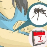 Ta hand om någon med dengue