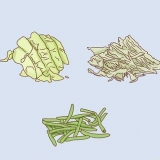 Växande infusoria