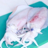 Koka bläckfisk