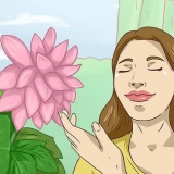 Få inspiration