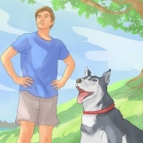 Lär din hund att gå till fots