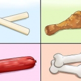 Lär din hund att prata