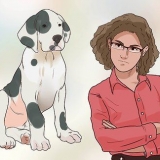 Träna din hund att inte springa iväg