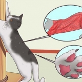 Stoppa din katt från att repa möbler