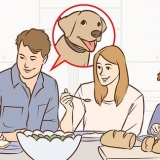 Övertyga dina föräldrar att skaffa en hund