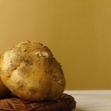 Förbereder jicama
