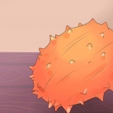 Äter kiwano