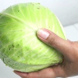 Koka kål