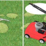 Ta bort mossa från din gräsmatta