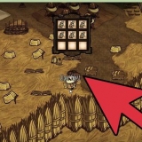Bli inte galen i don't starve