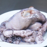 Förbered bläckfisk